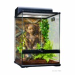 Exo-Terra Kit inicio terrario desierto