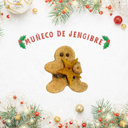 Navidad Snack muñeco de jengibre