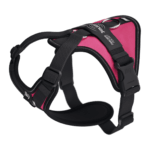 Julius Longwalk light Fucsia