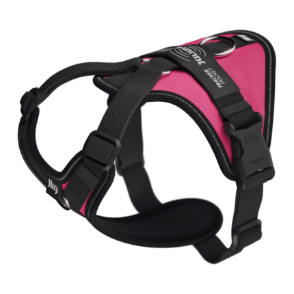 Julius Longwalk light Fucsia