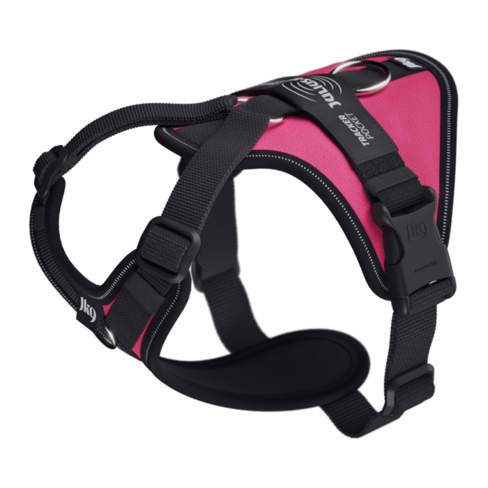 Julius Longwalk light Fucsia - Imagen 1