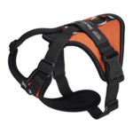 Julius Longwalk light Naranja