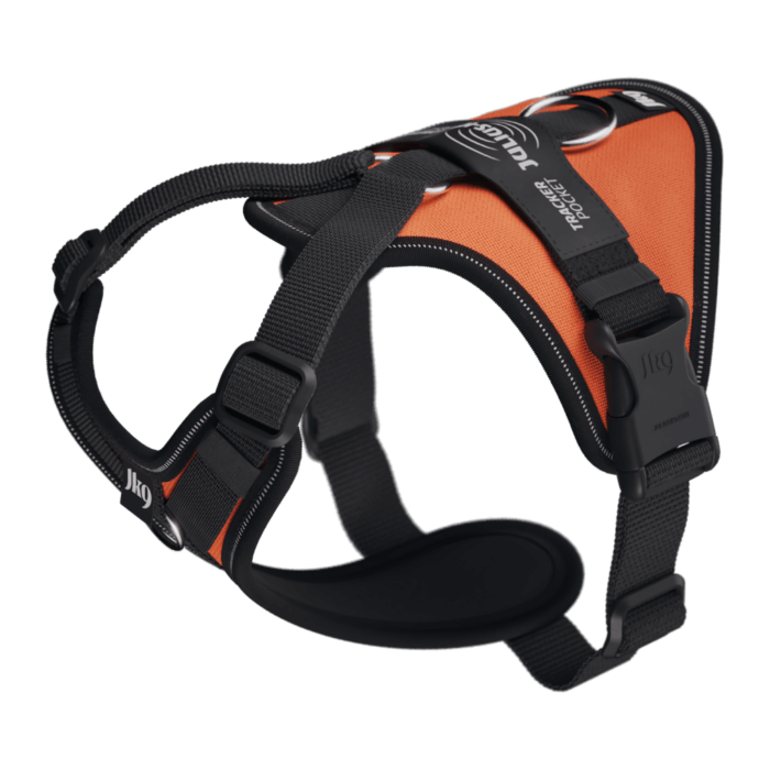Julius Longwalk light Naranja - Imagen 1
