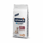 Advance Maxi Senior Chicken & Rice +6 años