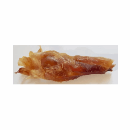 Tendón De Aquiles 1 Unidad