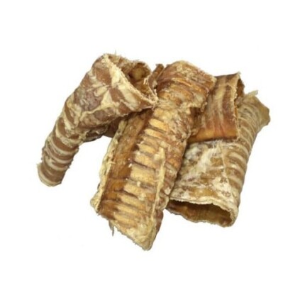 Tráquea de búfalo - 1 Unidad