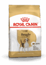 Royal Canin Beagle Adult