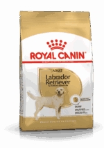 Royal Canin Labrador Retriever Adult
