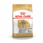 Royal Canin Maltese Adult