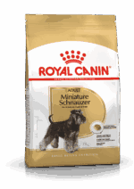 Royal Canin Miniature Schnauzer Adult