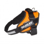 Julius K9 Arnés IDC ® Naranja