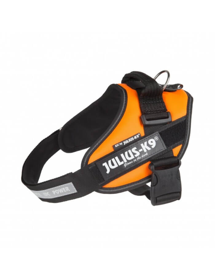 Julius K9 Arnés IDC ® Naranja - Imagen 1
