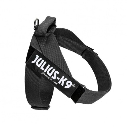 Julius K9 Arnes IDC® de Cinta Negro