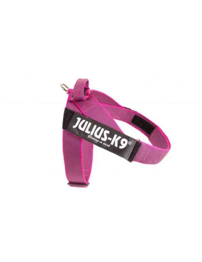 Julius K9 Arnes IDC® de Cinta Rosa - Imagen 1