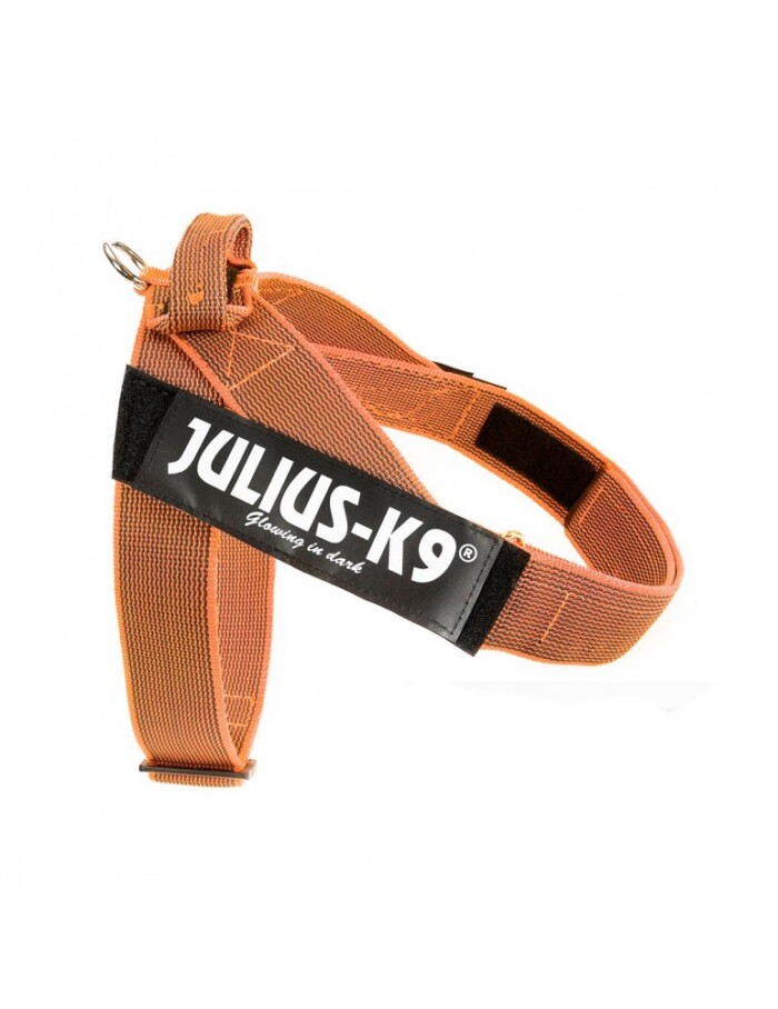 Julius K9 Arnes IDC® de Cinta Naranja - Imagen 1