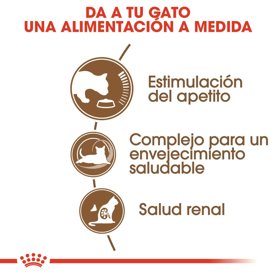 Royal Canin Ageing 12+ - Imagen 4