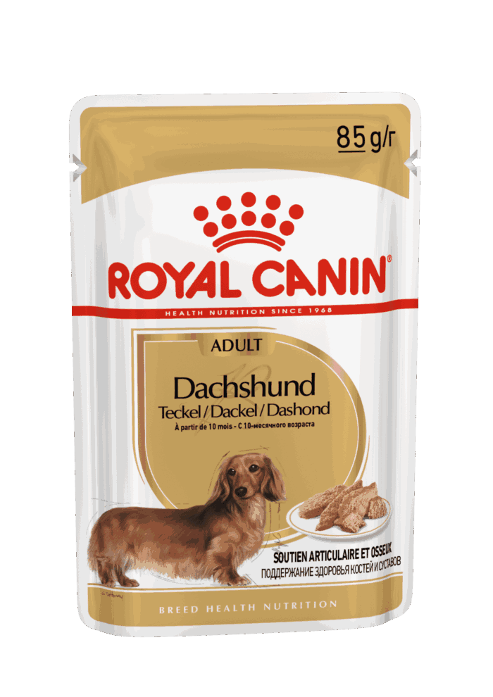 Royal Canin Dachshund 85 Gr - Imagen 1
