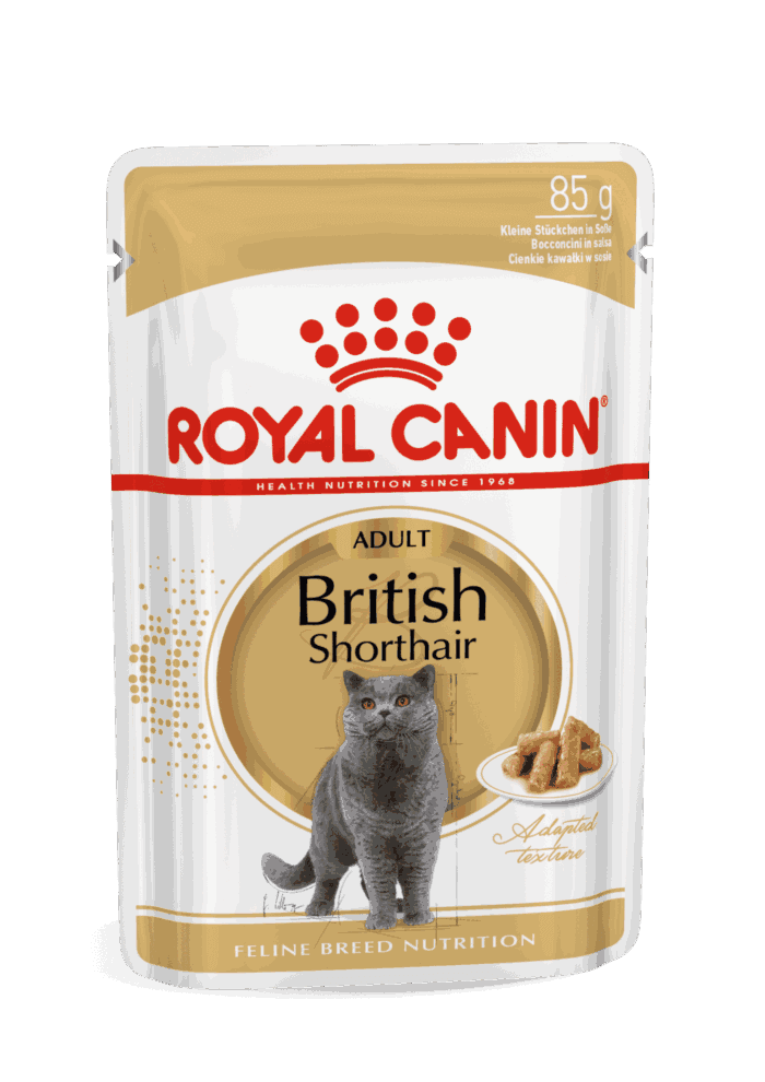 Royal Canin British Shorthair 85 Gr - Imagen 1