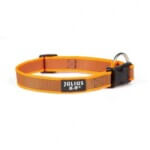 Julius K9 Collar Color & Gray