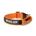 Julius K9 Collar Color & Gray con Asa
