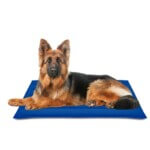 COOL MAT Manta Fría Azul Nayeco - Imagen 3