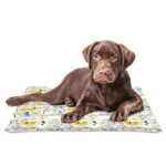 COOL MAT Manta Fría Nayeco Summer Dog