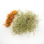 Herre Heno de Festuca Extra Verde con Caléndula 500gr - Imagen 2