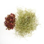 Herre Heno de Festuca Extra Verde con Pétalos de Rosa 500gr - Imagen 2