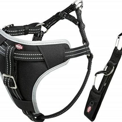 Arnés seguridad Dog Protect