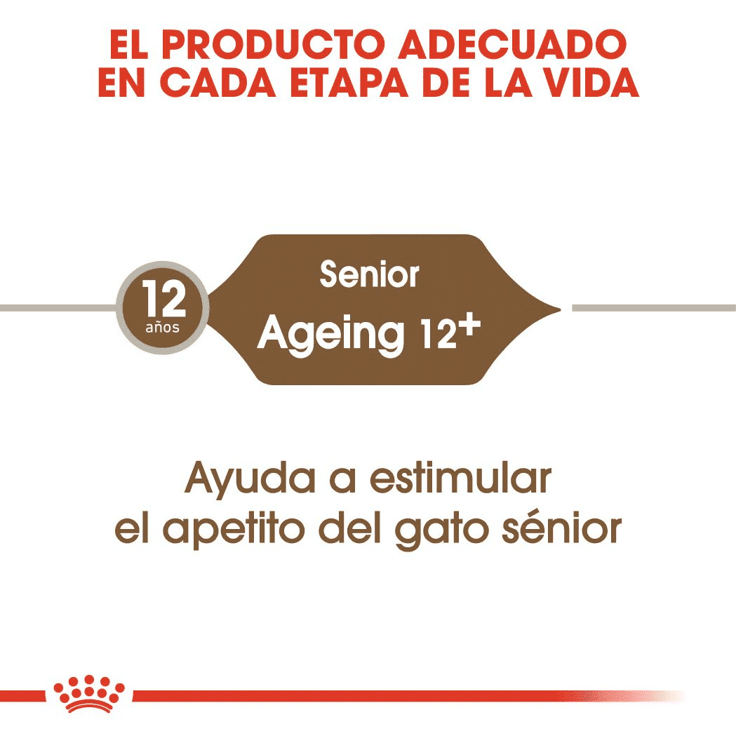 Royal Canin Ageing 12+ - Imagen 6