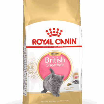 Royal Canin British shorthair Kitten 2 Kg