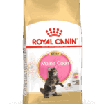 Royal Canin Maine Coon Kitten