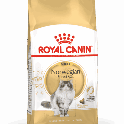 Royal Canin Norwegian Forest Cat Adult