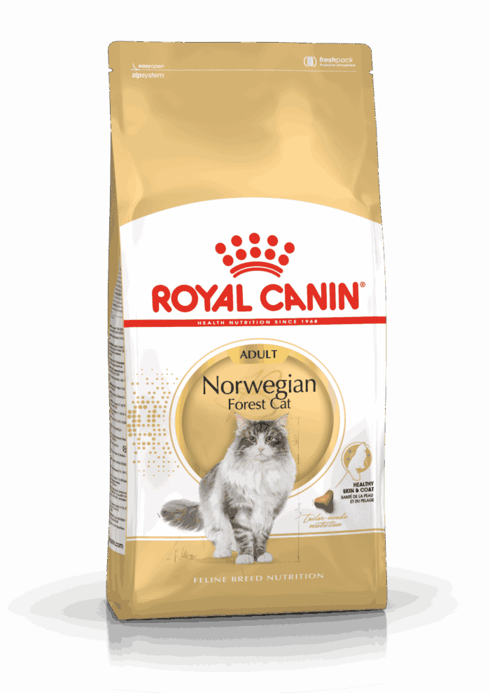 Royal Canin Norwegian Forest Cat Adult - Imagen 1