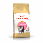 Royal Canin Persian Kitten
