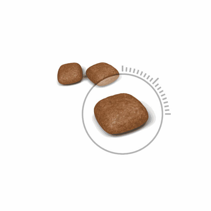 Royal Canin Urinary Care - Imagen 2