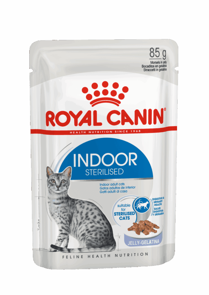 Royal Canin Indoor Sterilized Morsels in Jelly 85 Gr - Imagen 1