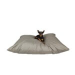 Cojin Yagu Basic Confort Gris