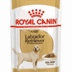 Royal Canin Labrador Retriever 140 Gr