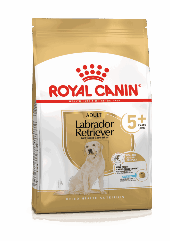 Royal Canin Labrador Retriever 5+ 12 Kg - Imagen 1
