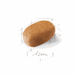 Royal Canin Maltese Adult - Imagen 2