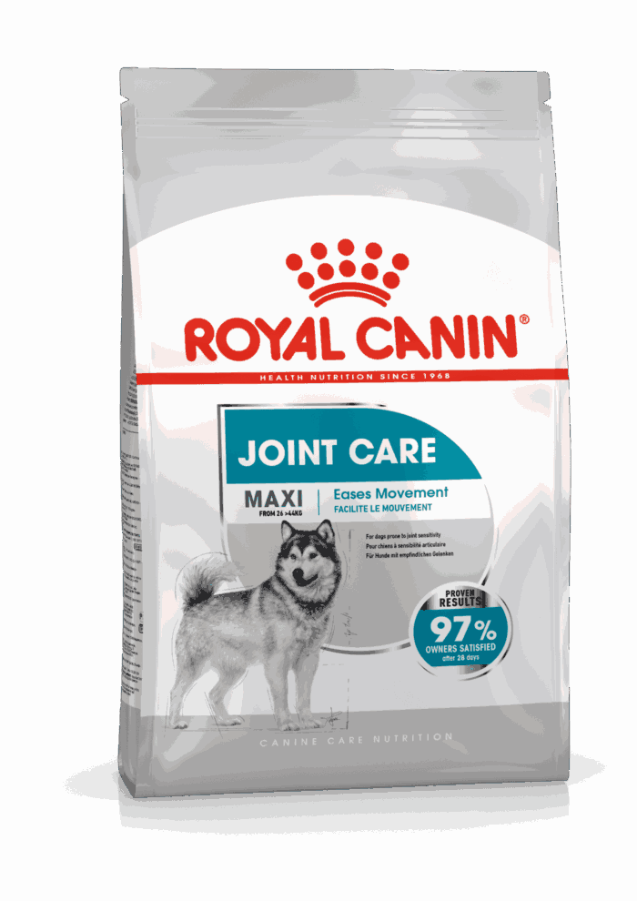 Royal Canin Maxi Joint Care 10 Kg - Imagen 1