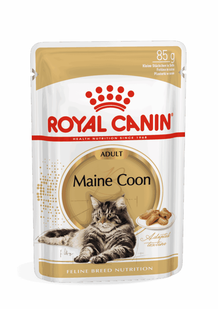 Royal Canin Maine Coon 85 Gr - Imagen 1