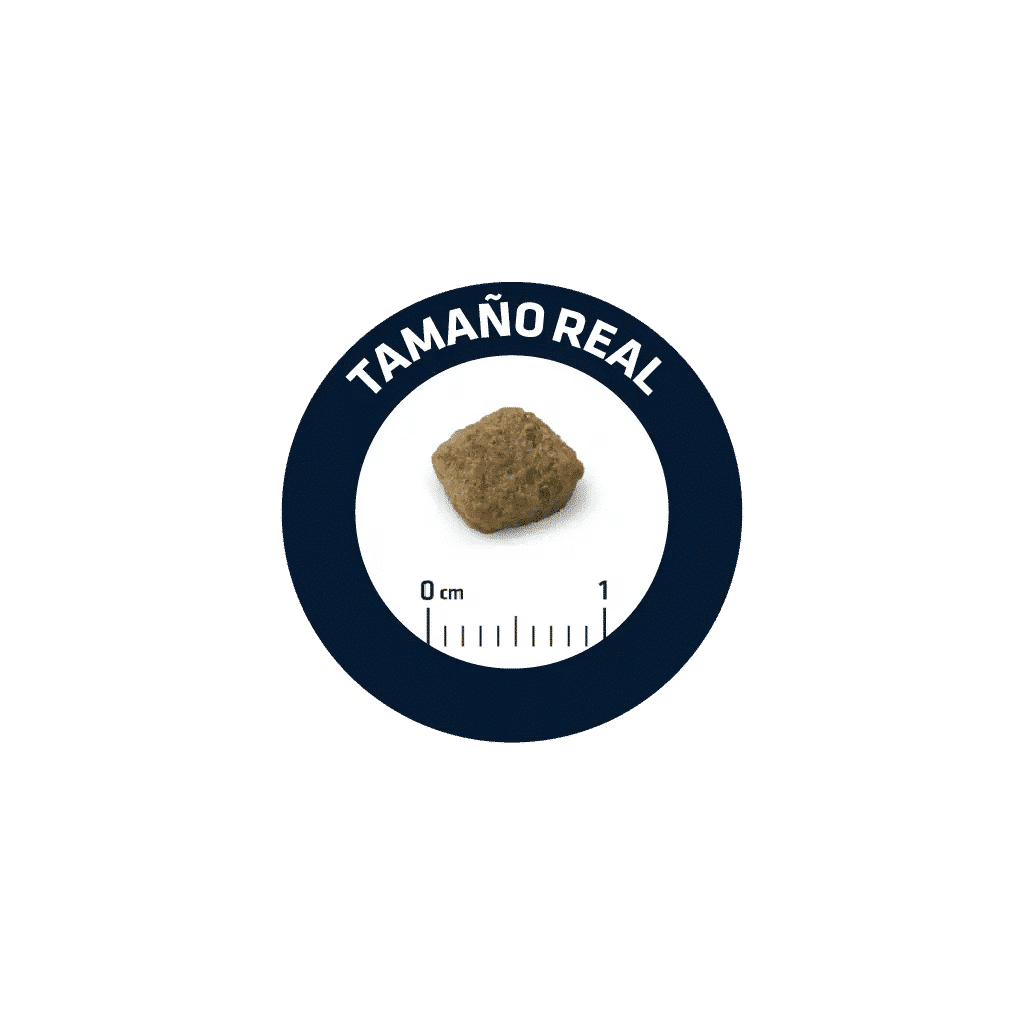 Advance Mini Senior Chicken & Rice +8 años - Imagen 2