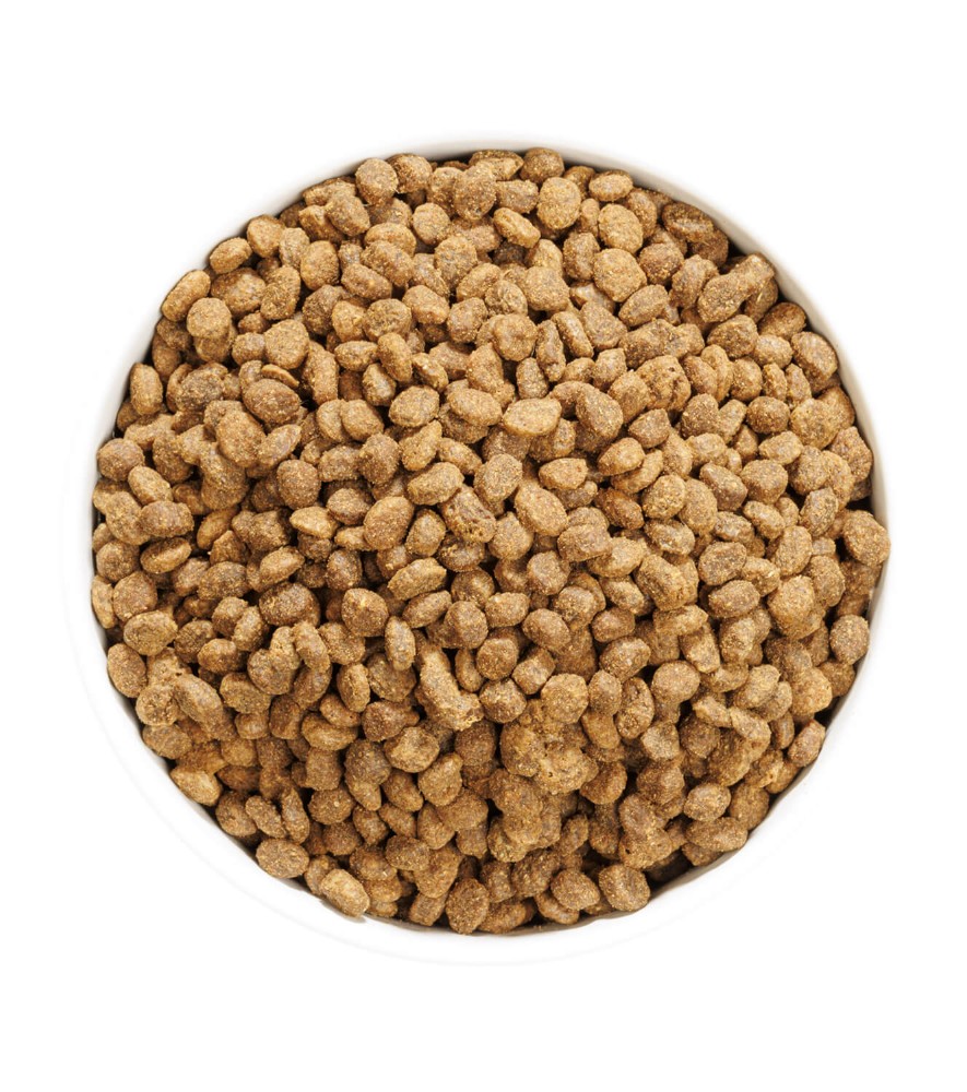 Ownat Author Grain Free Sterilized Fresh Chicken | Para Gatos - Imagen 3