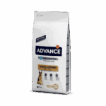 Advance German Shepherd