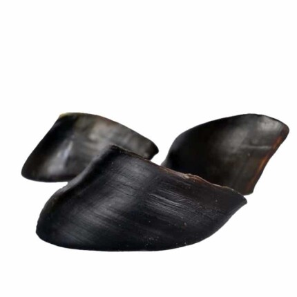 Pezuña de búfalo horneada para rellenar- 1 Unidad