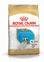 Royal Canin French Bulldog Puppy