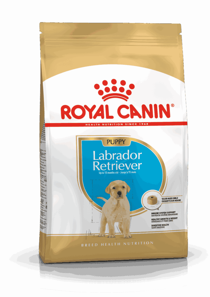 Royal Canin Labrador Retriever Puppy - Imagen 1