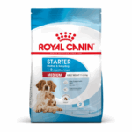 Royal Canin STARTER Mother & Babydog - MEDIUM